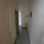 248 3*